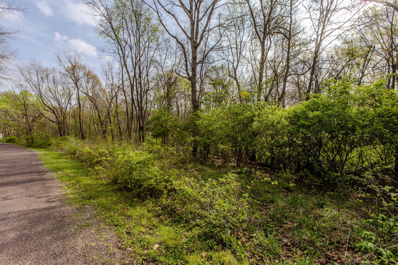 56,57 Summit Drive Property Photo 2
