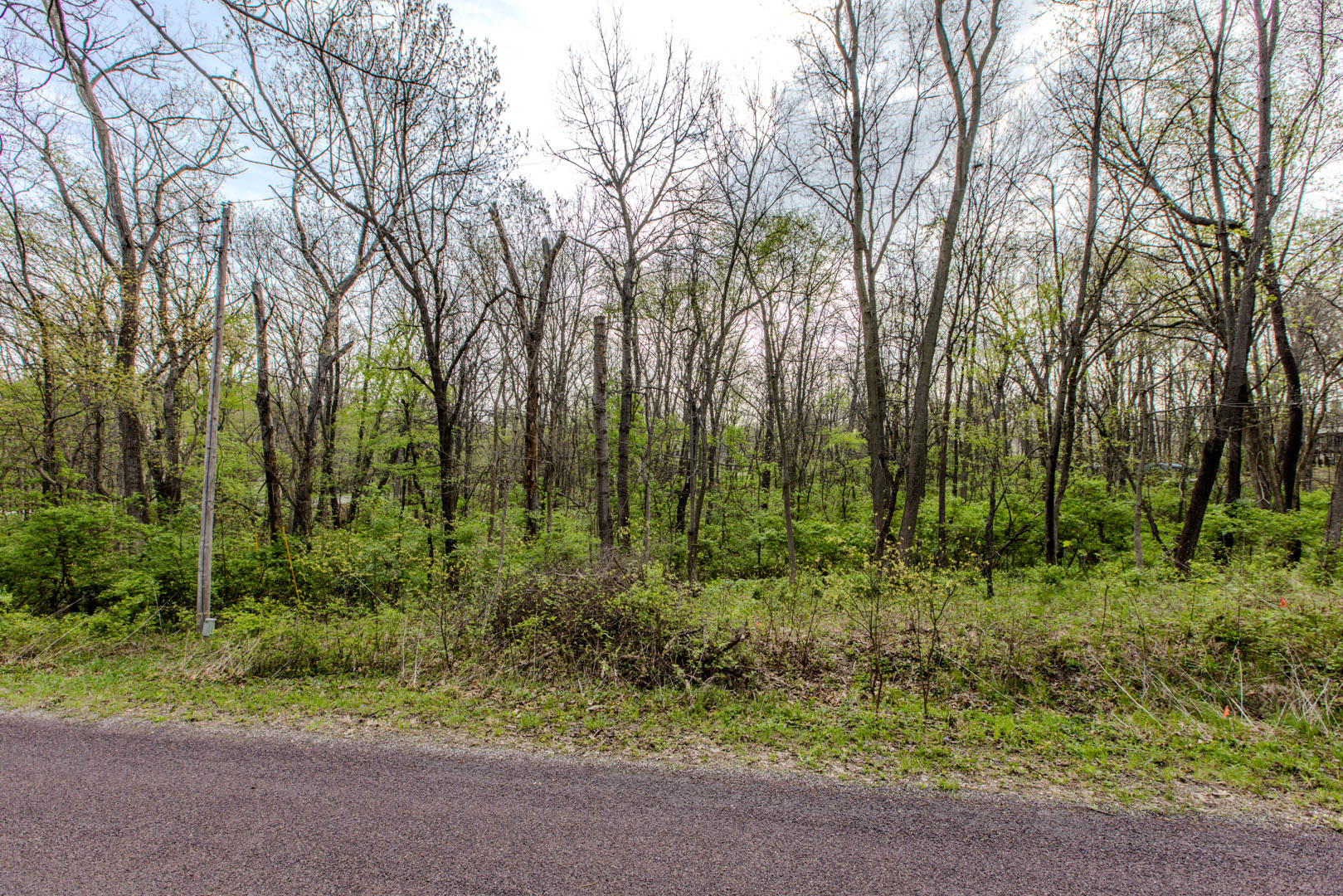 56,57 Summit Drive Property Photo 4