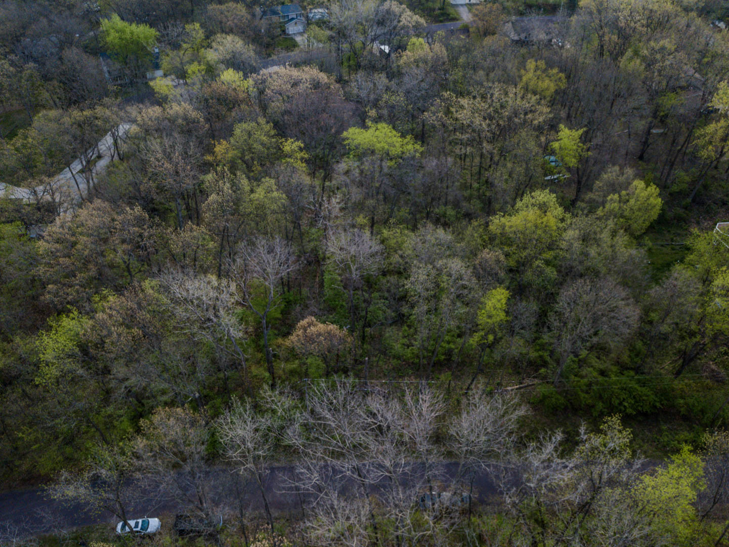 56,57 Summit Drive Property Photo 7