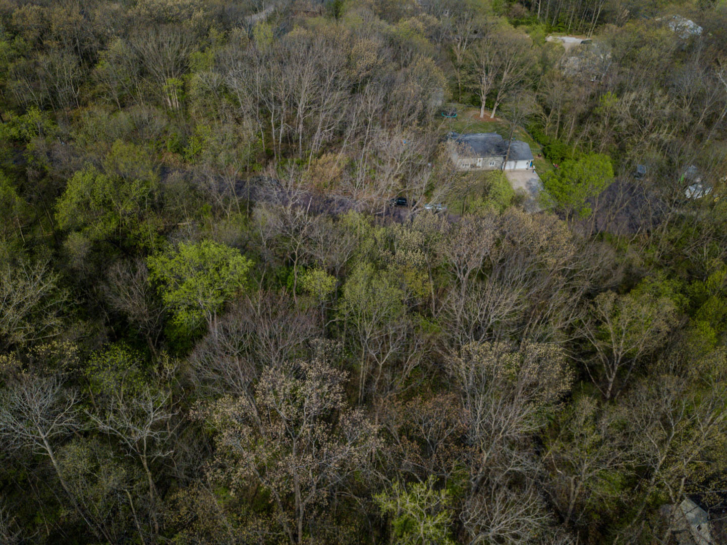 56,57 Summit Drive Property Photo 8