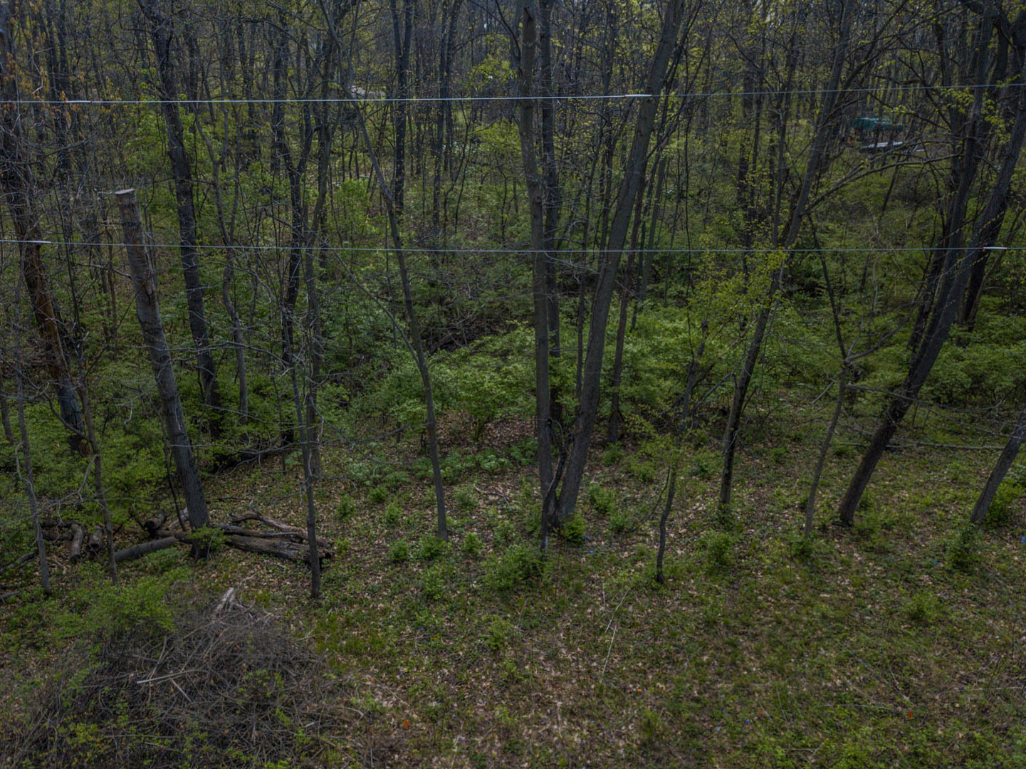 56,57 Summit Drive Property Photo 12