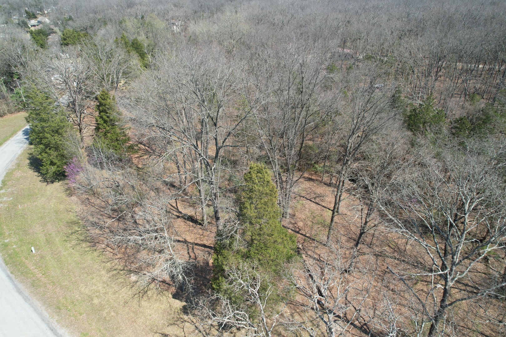 Tbd Clifty Heights Road Property Photo 5