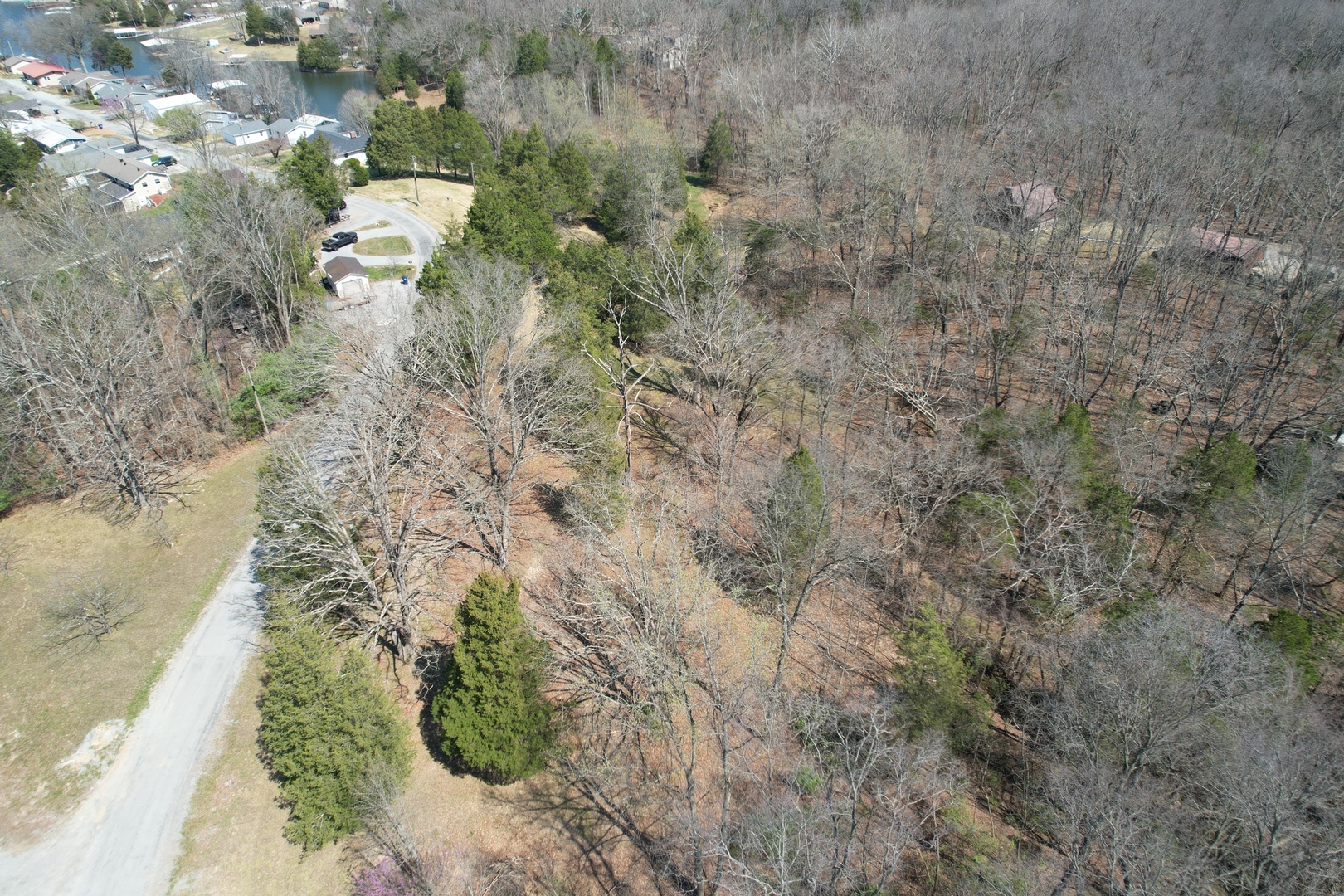 Tbd Clifty Heights Road Property Photo 7