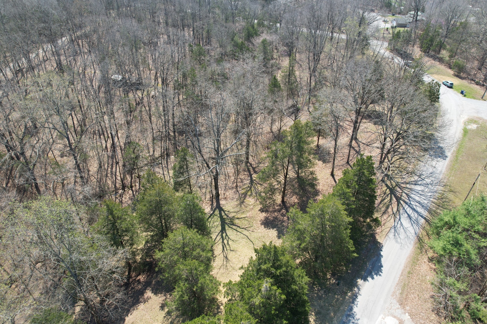 Tbd Clifty Heights Road Property Photo 9