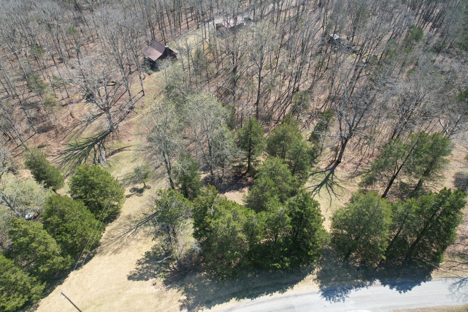 Tbd Clifty Heights Road Property Photo 10