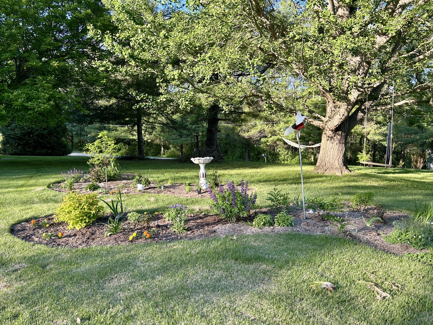 7695 Old Highway 51 N Property Photo 53