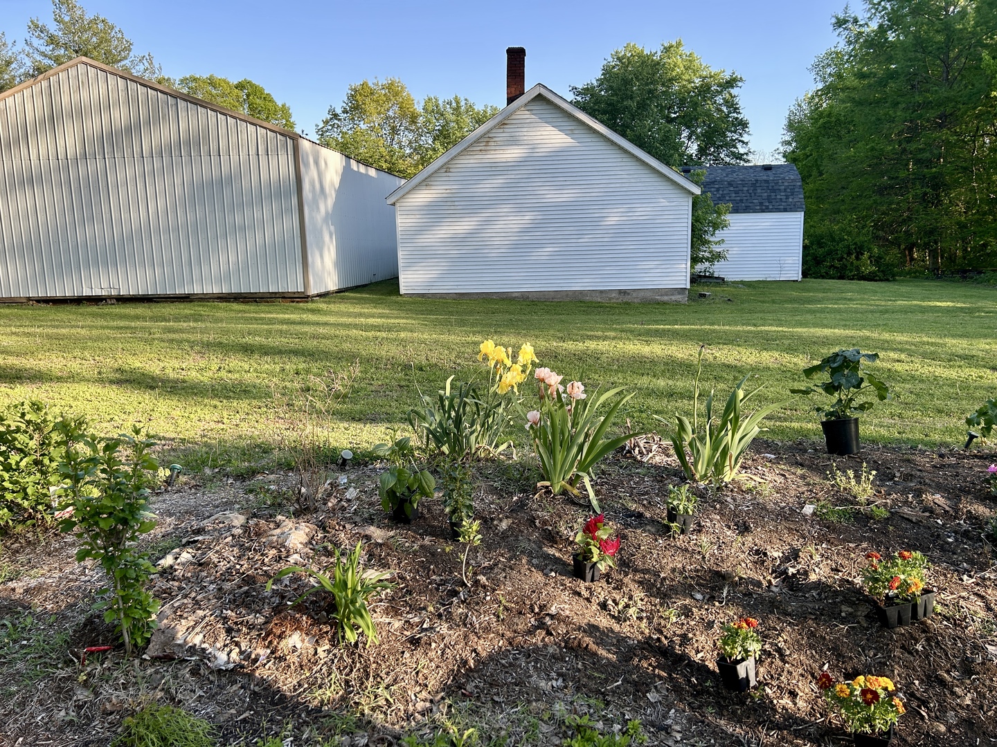 7695 Old Highway 51 N Property Photo 54