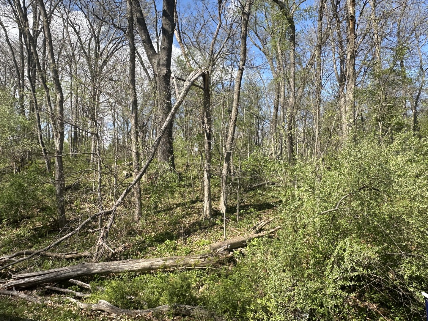 0 Lake Thunderbird Hills Property Photo 1