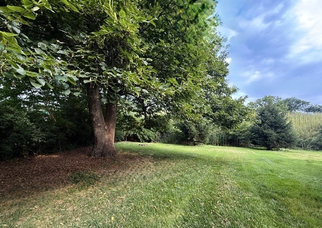 1106 E Pearl Drive Property Photo 43