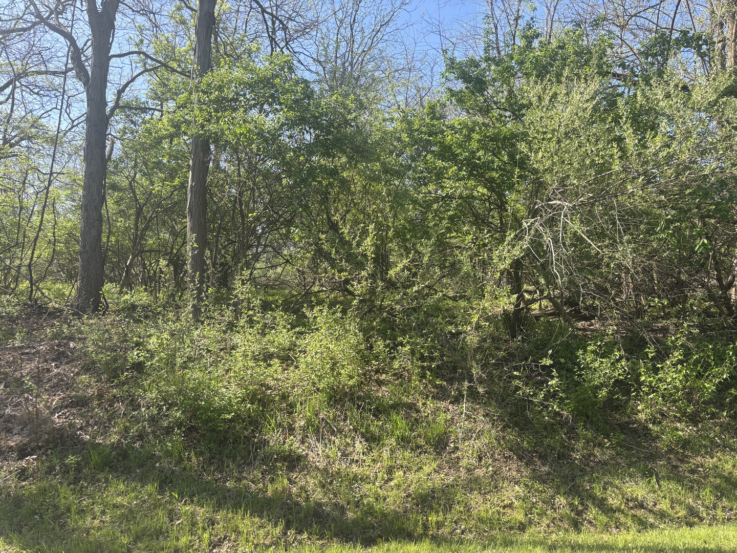 530 Rollingwood Place Property Photo 3