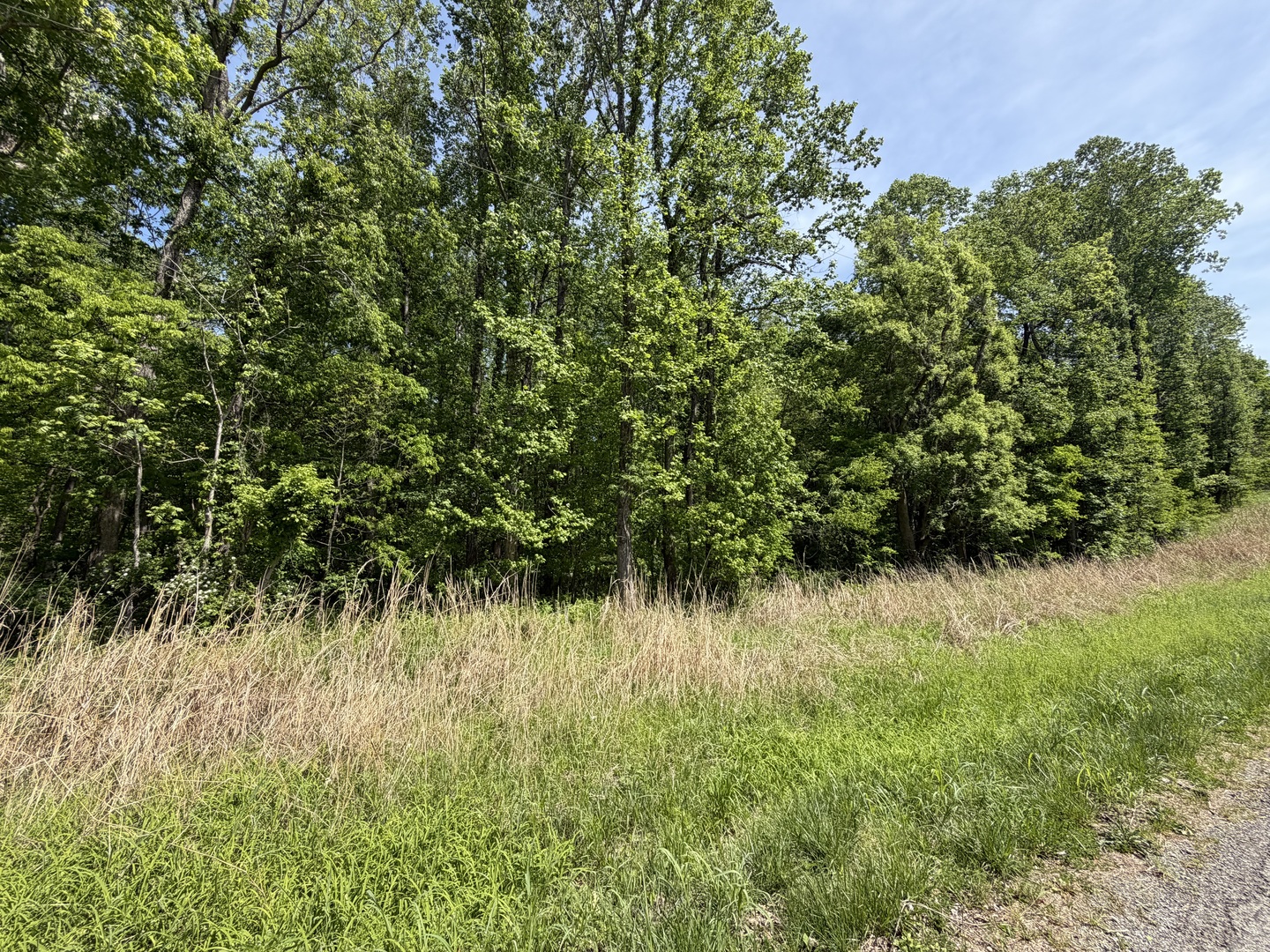 0000 Tower Rock Road Property Photo 1