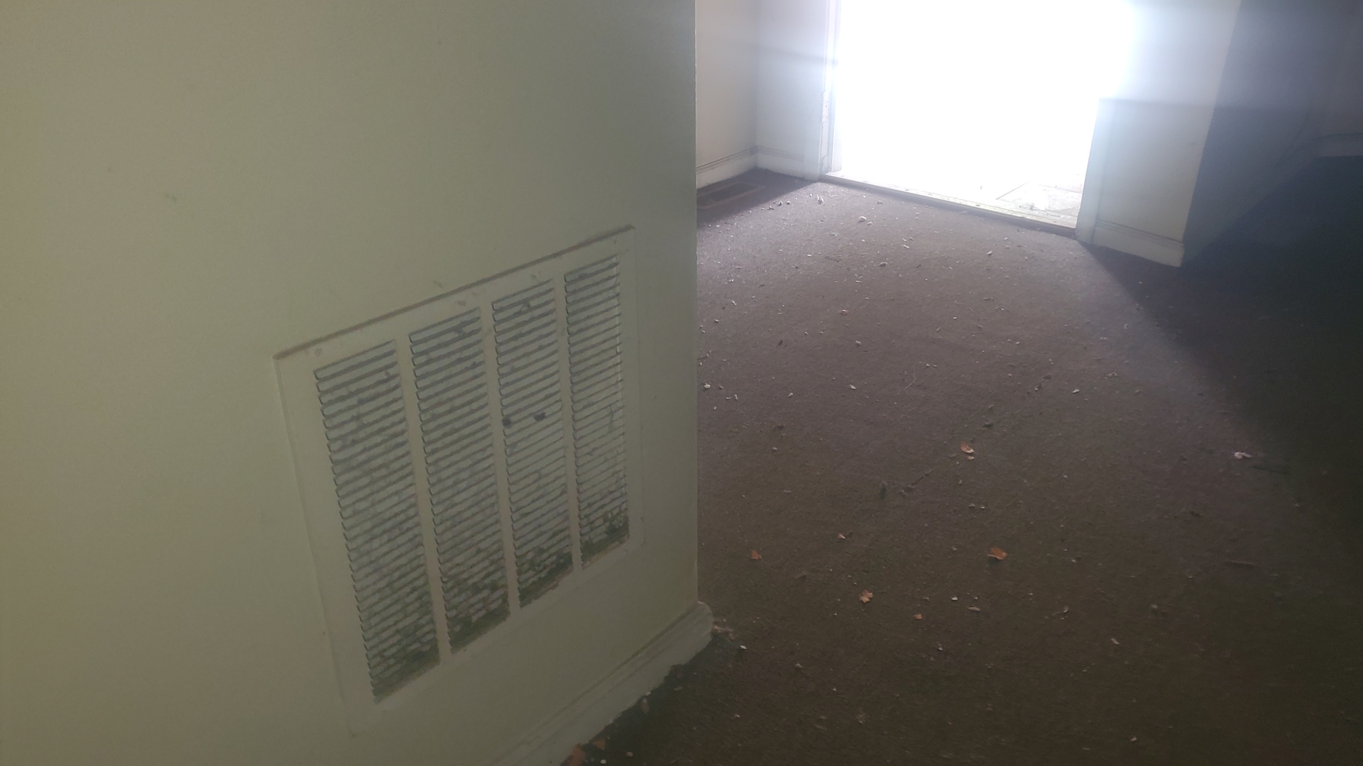 5258 S Emerald Avenue Property Photo 17
