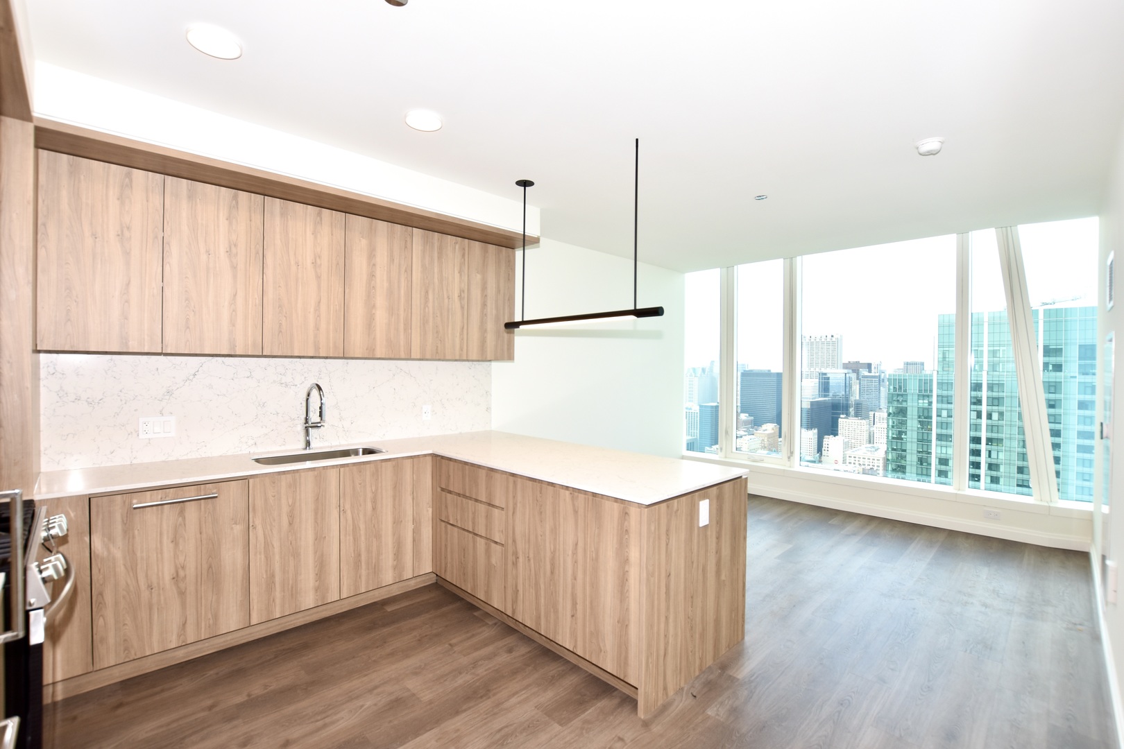 1000 S Michigan Avenue 5402 Property Photo 5