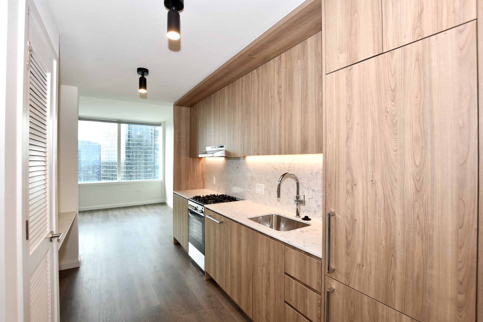 1000 S Michigan Avenue 1711 Property Photo 6