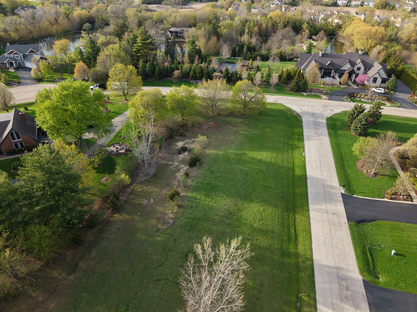 8875 Belfield Road Property Photo 8
