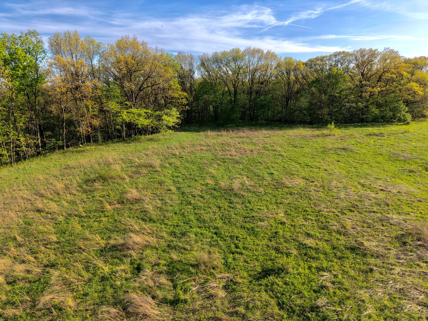 000 3175 East Avenue Property Photo 13