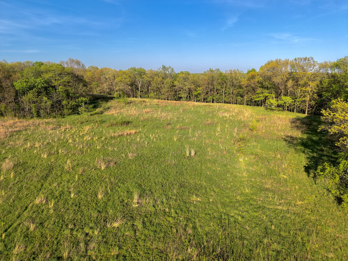 000 3175 East Avenue Property Photo 14