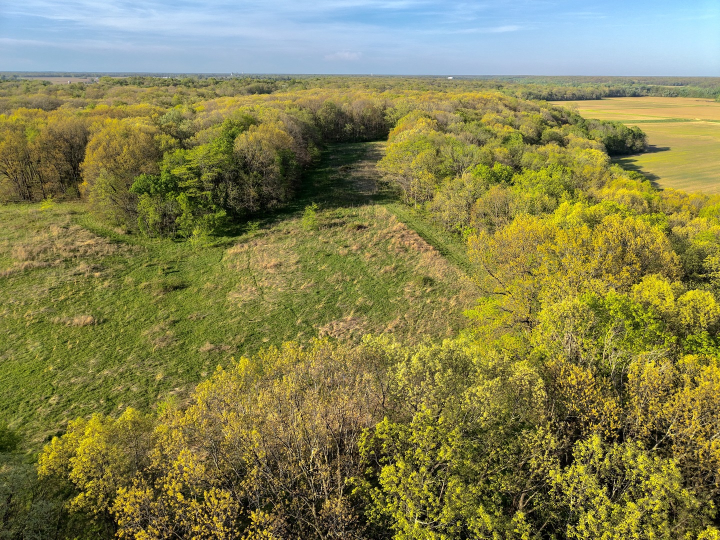 000 3175 East Avenue Property Photo 15