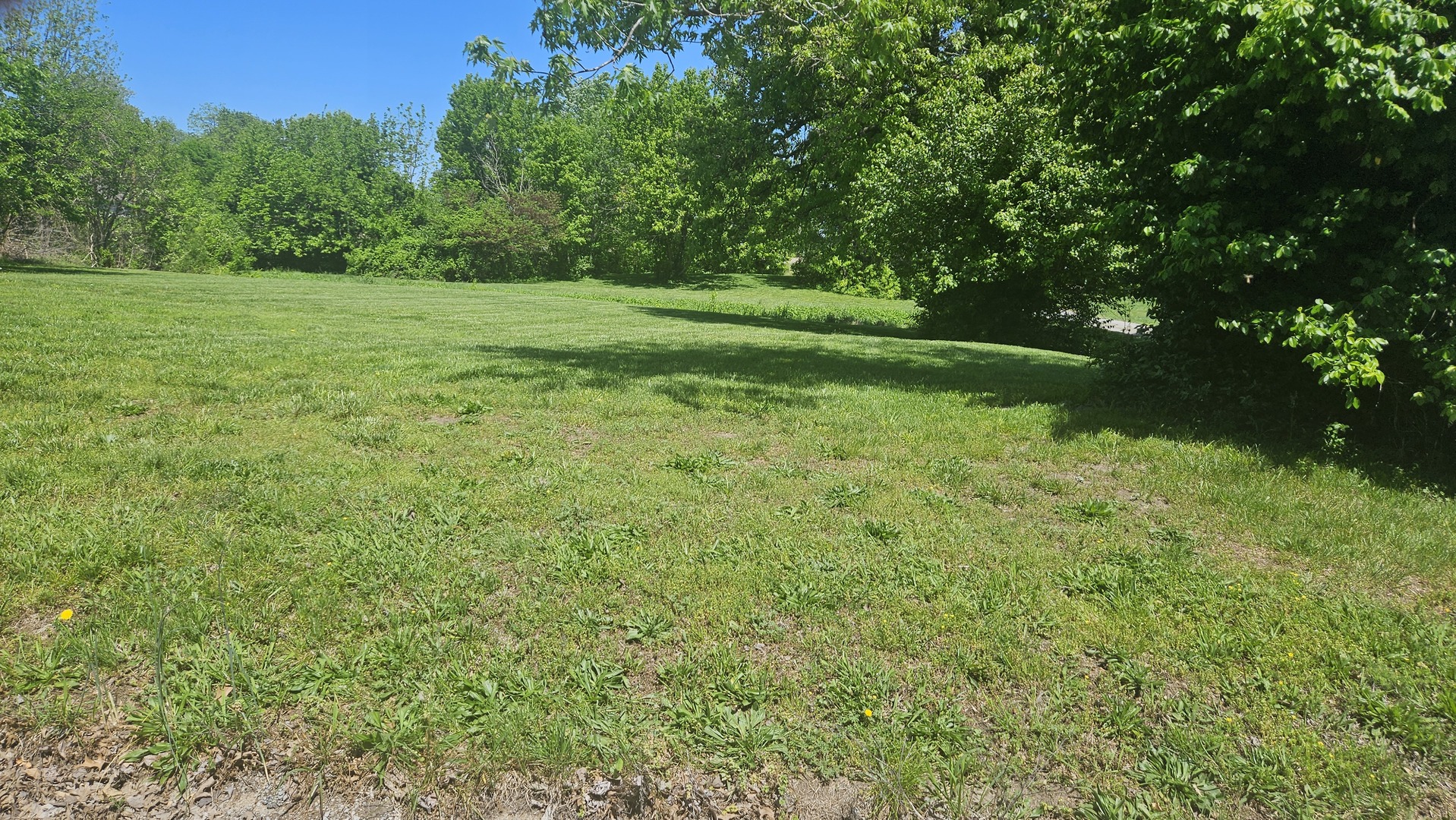 0000 W Main Street Property Photo 6