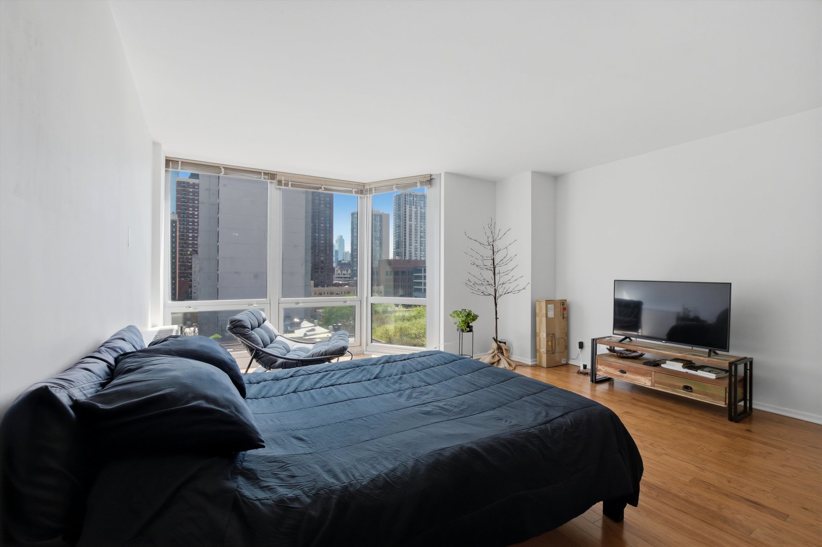 21 W Goethe Street 9j Property Photo 3