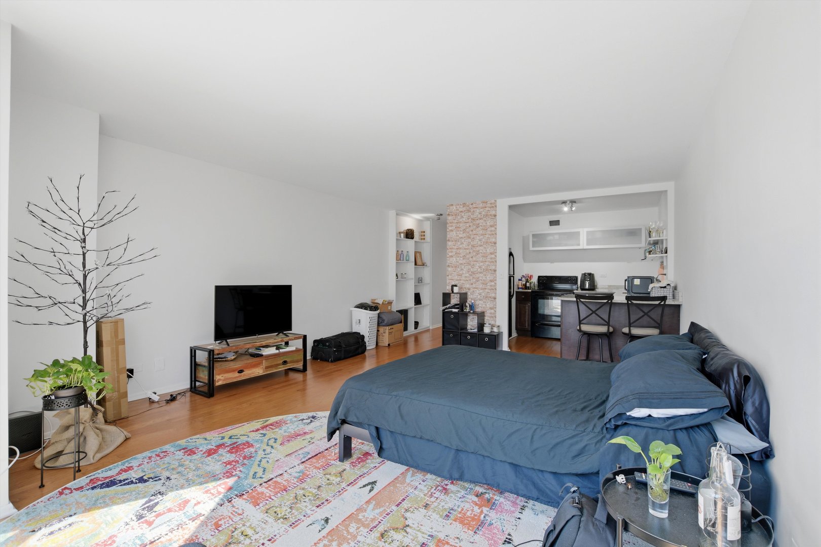 21 W Goethe Street 9j Property Photo 6