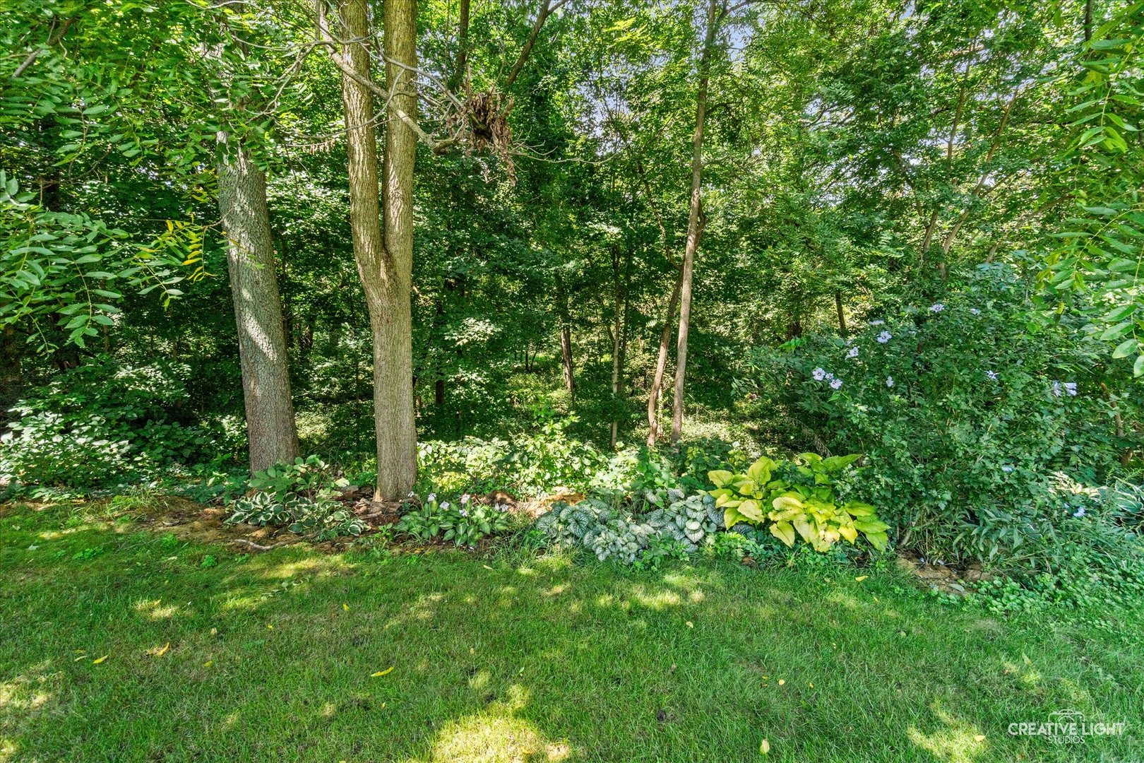2019 Pauline Place Property Photo 29