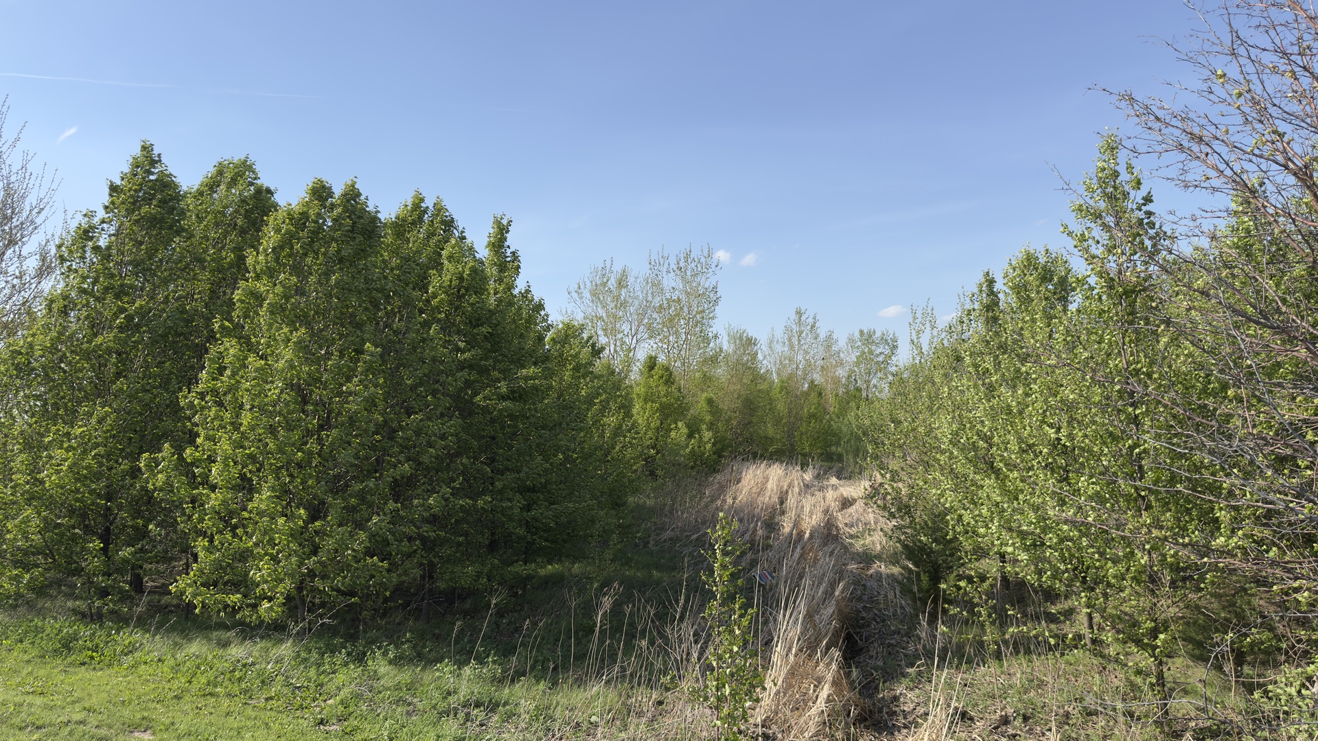 Pin 14-11-477-001 Northtown And Pipeline Roads Property Photo 10