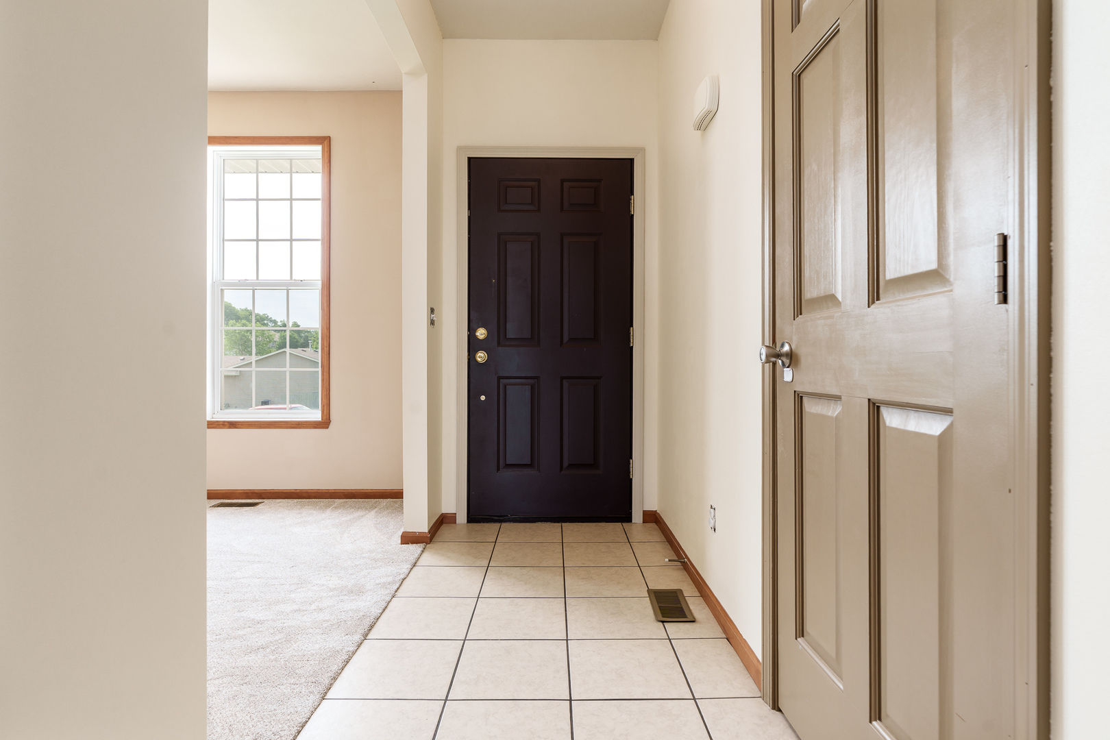 853 Goosedown Drive Property Photo 4