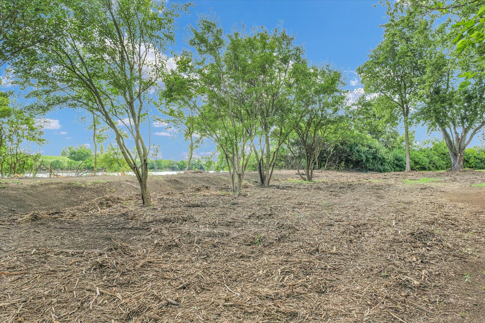 50 Moss Lake Drive Property Photo 40