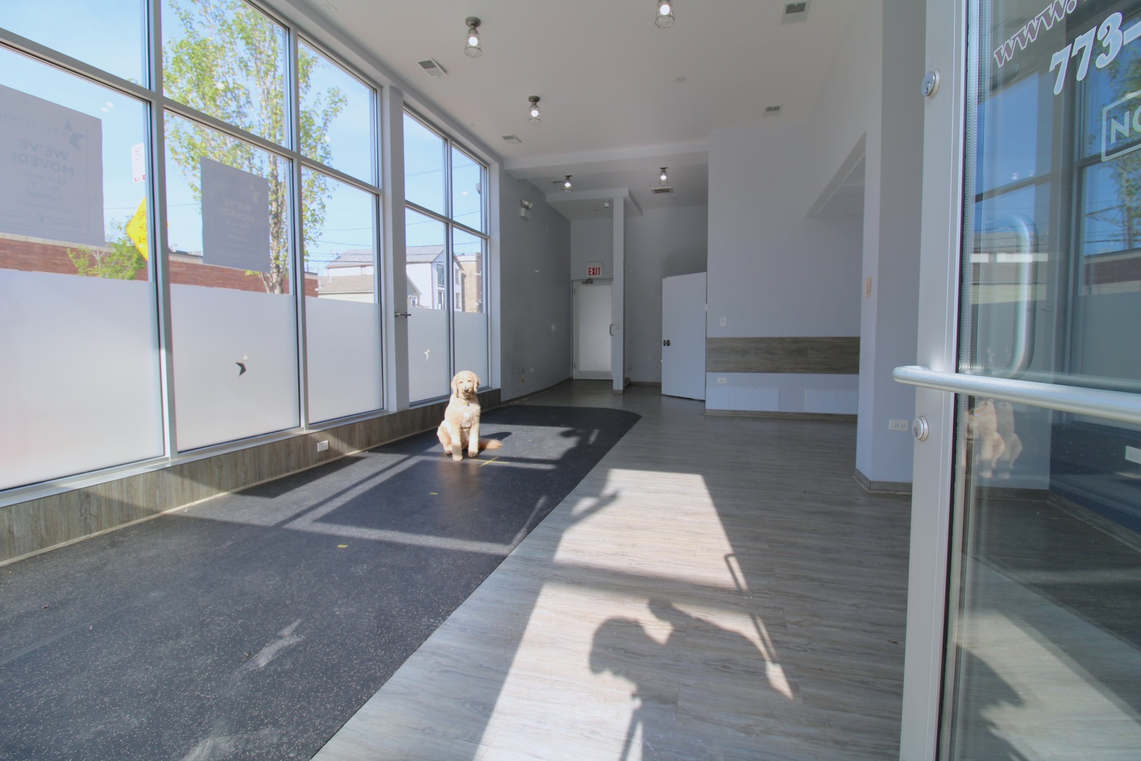 859 N Ashland Avenue Commercial Property Photo 5
