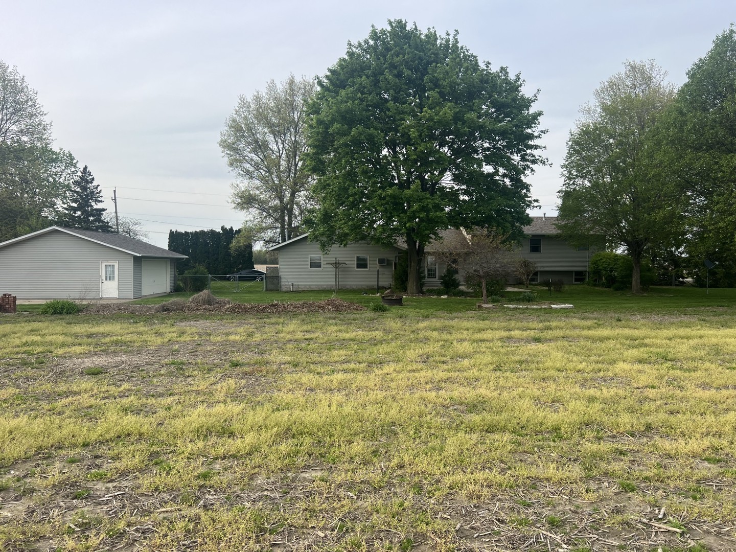 10093 Wolf Road Property Photo 4
