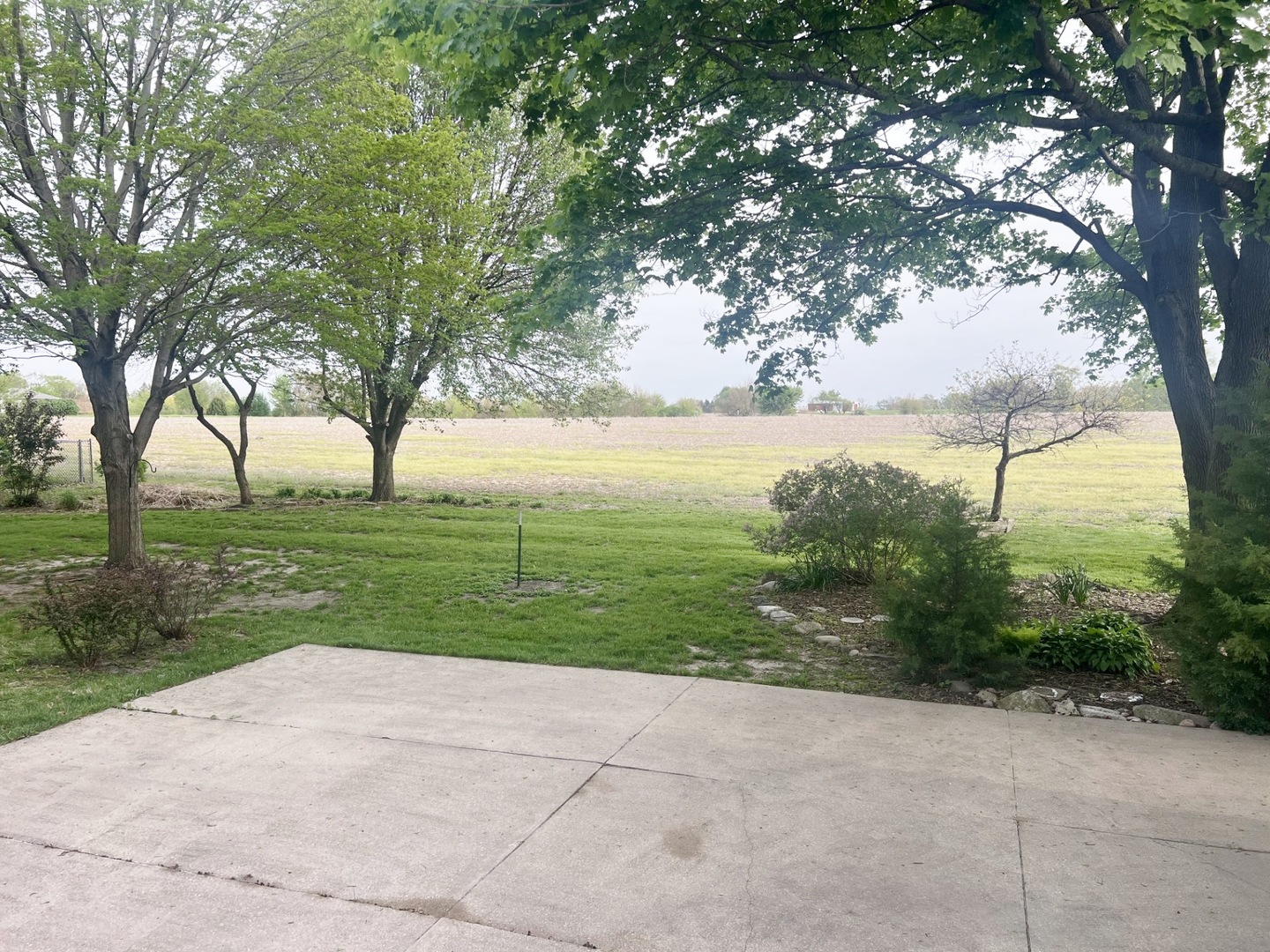 10093 Wolf Road Property Photo 8