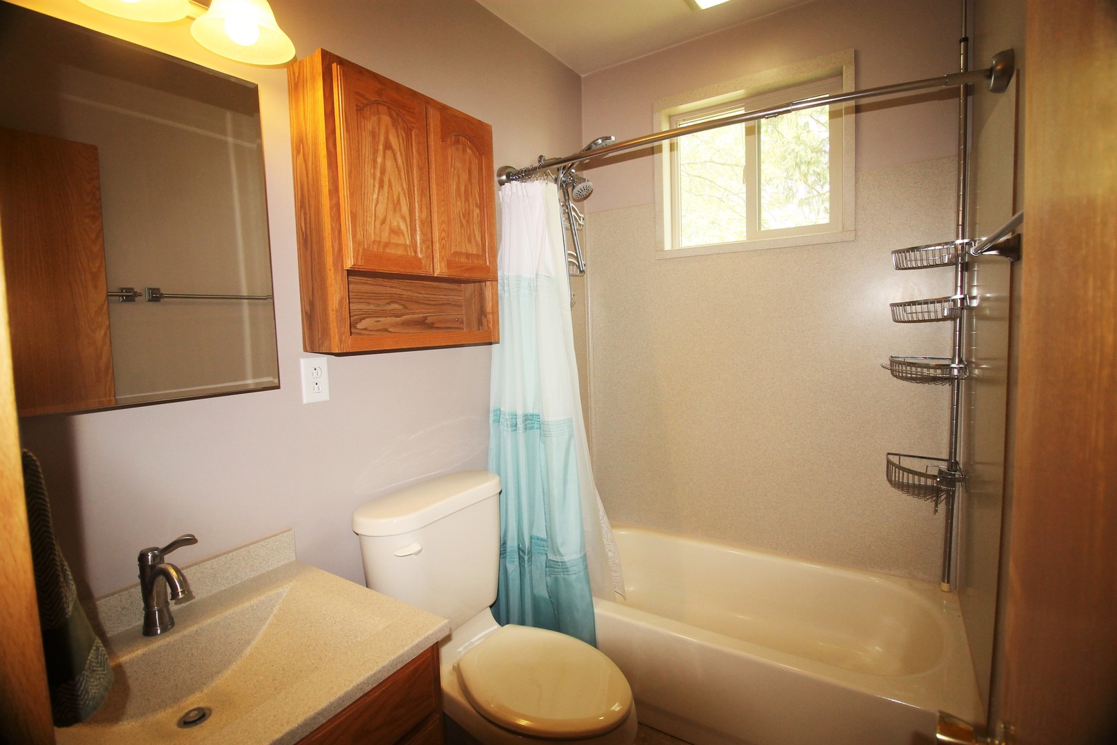 10093 Wolf Road Property Photo 21