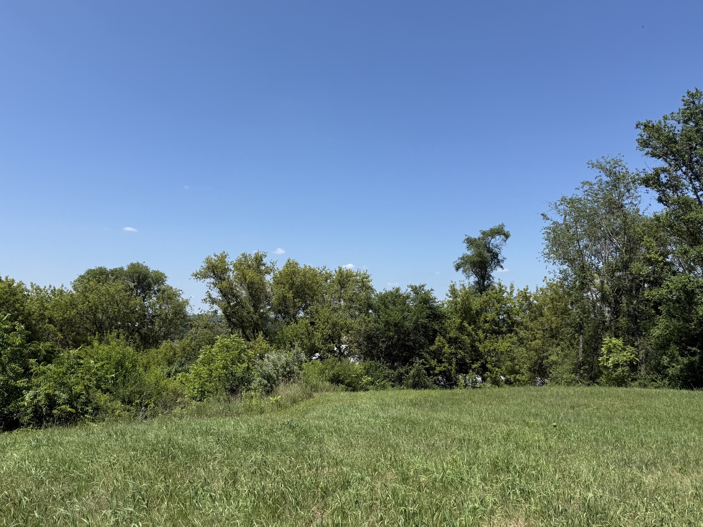7010 Wildflower Court Property Photo 4