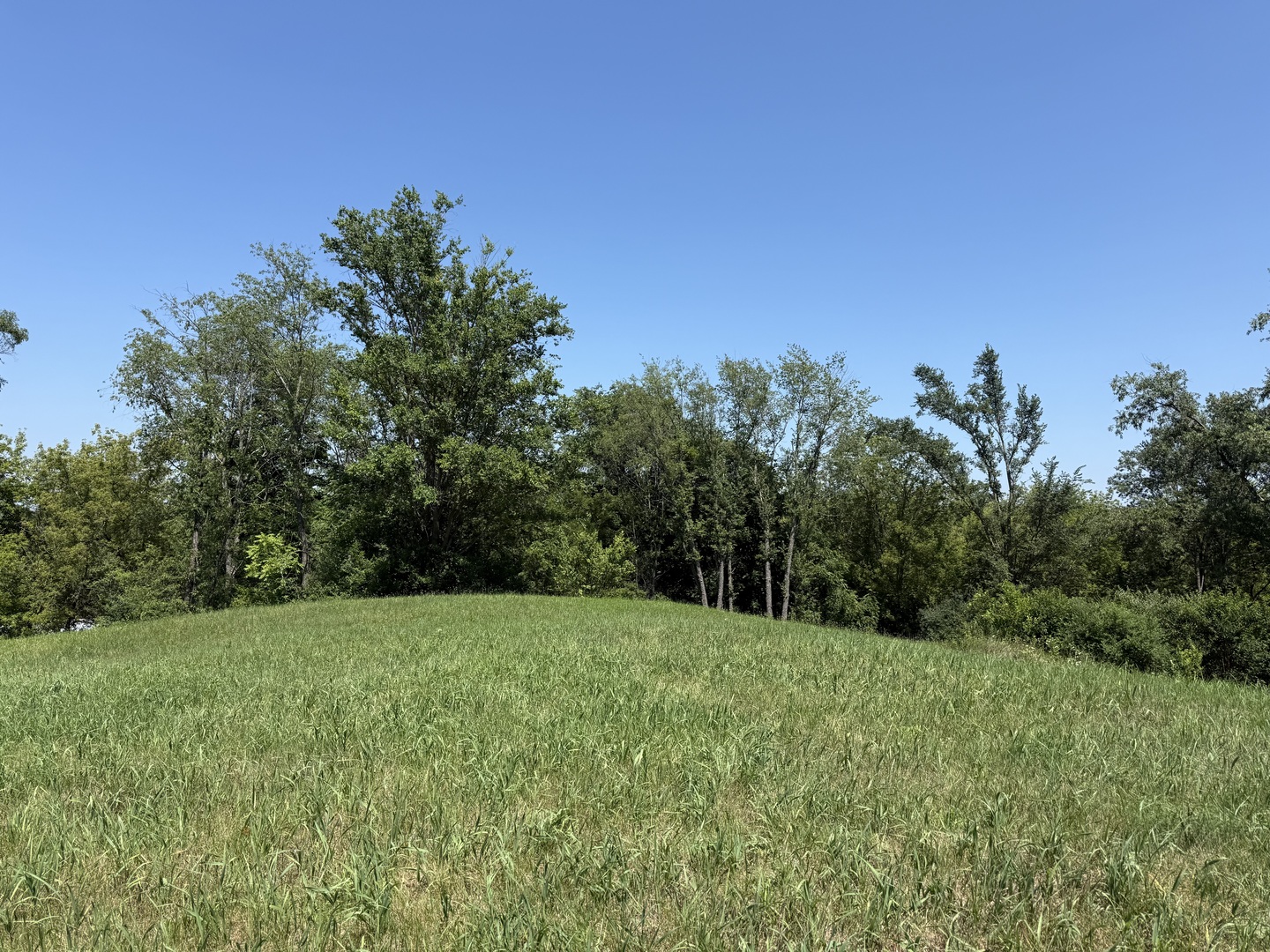 7010 Wildflower Court Property Photo 5