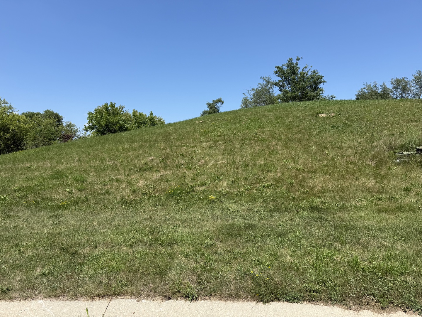 7010 Wildflower Court Property Photo 6