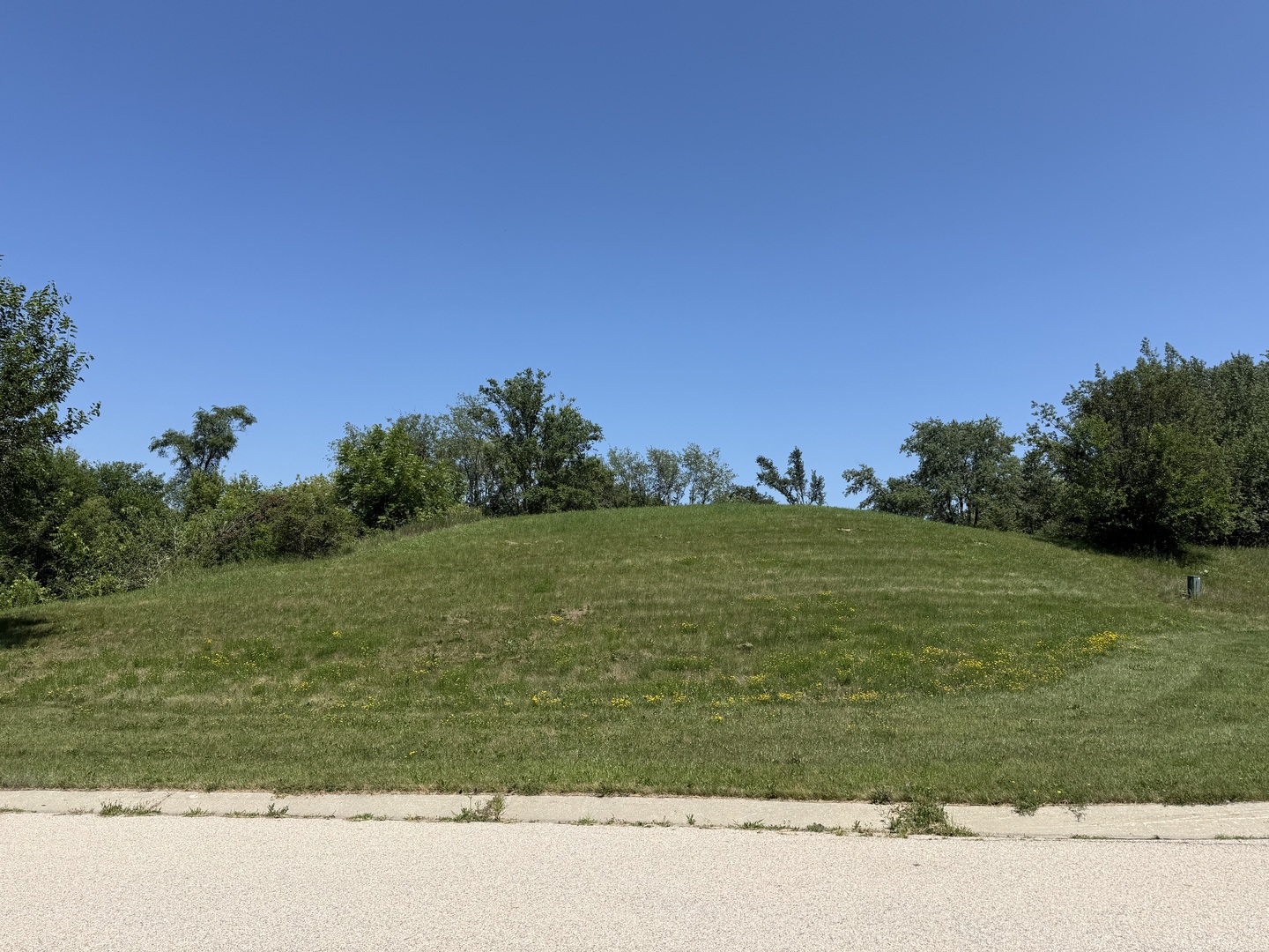 7010 Wildflower Court Property Photo 7
