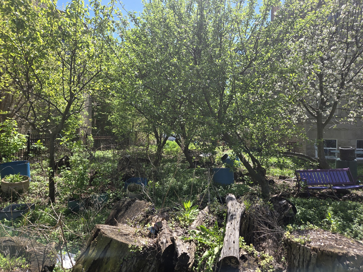 1839 W Touhy Avenue Property Photo 3