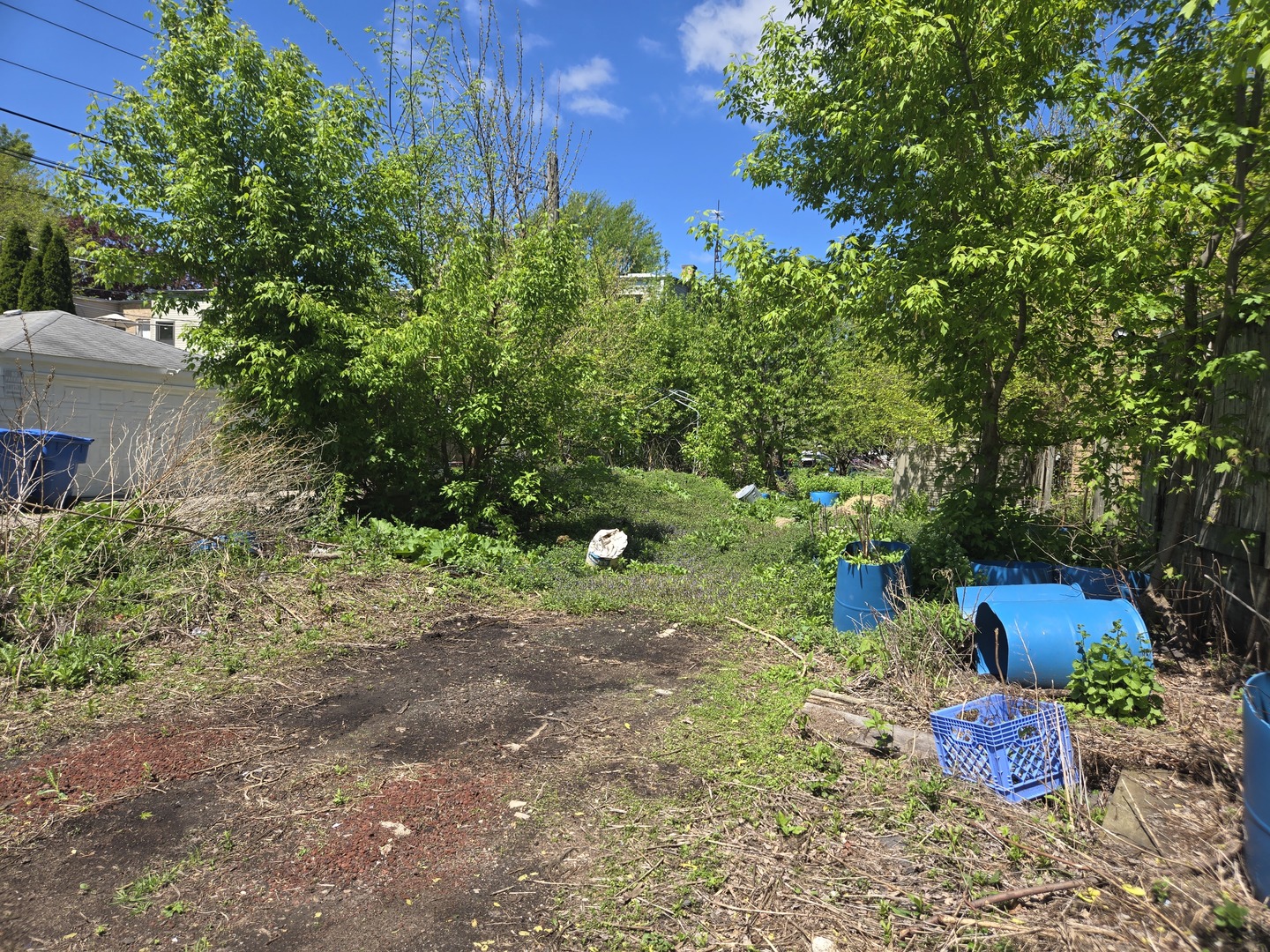 1839 W Touhy Avenue Property Photo 5
