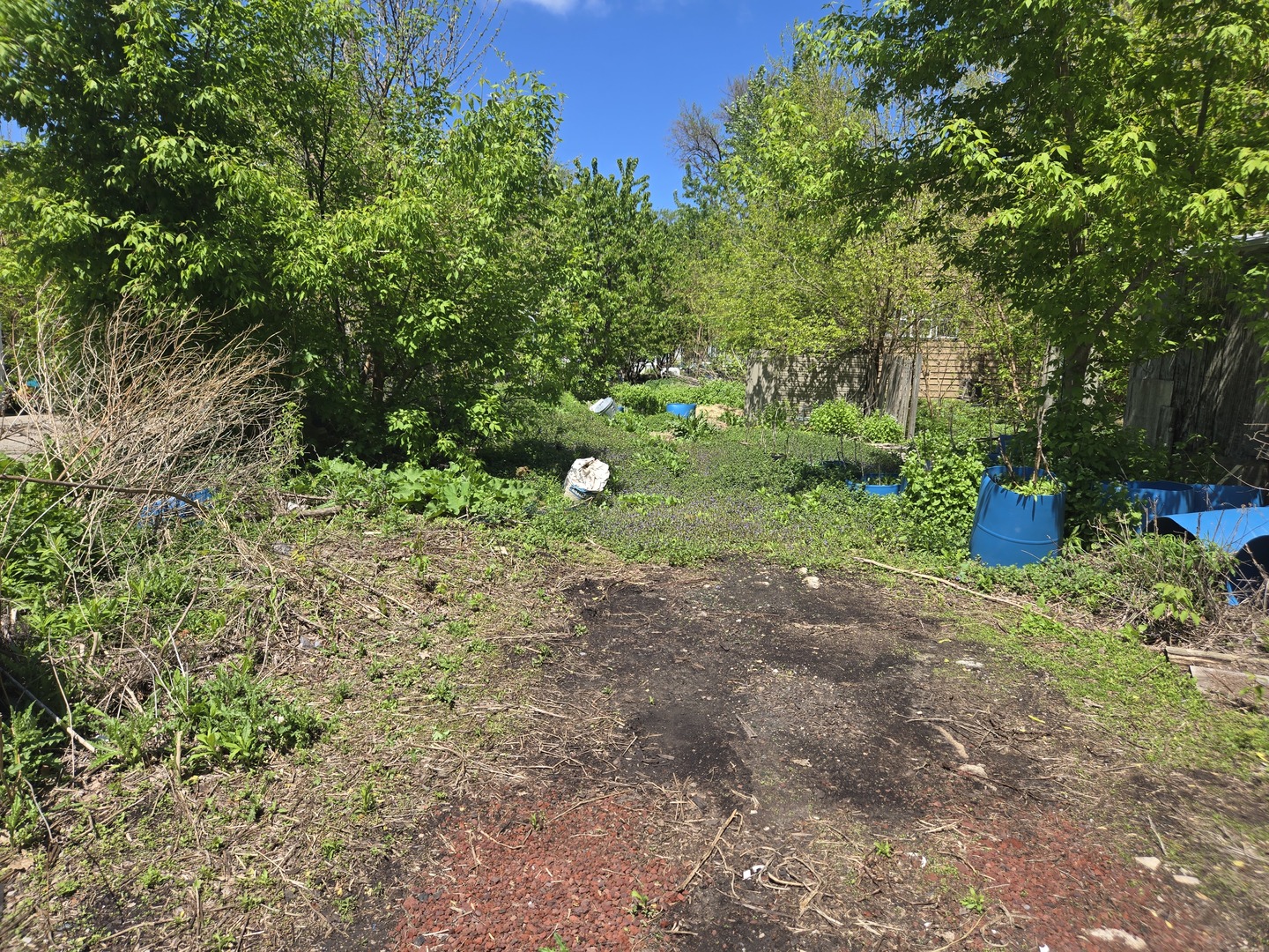 1839 W Touhy Avenue Property Photo 6
