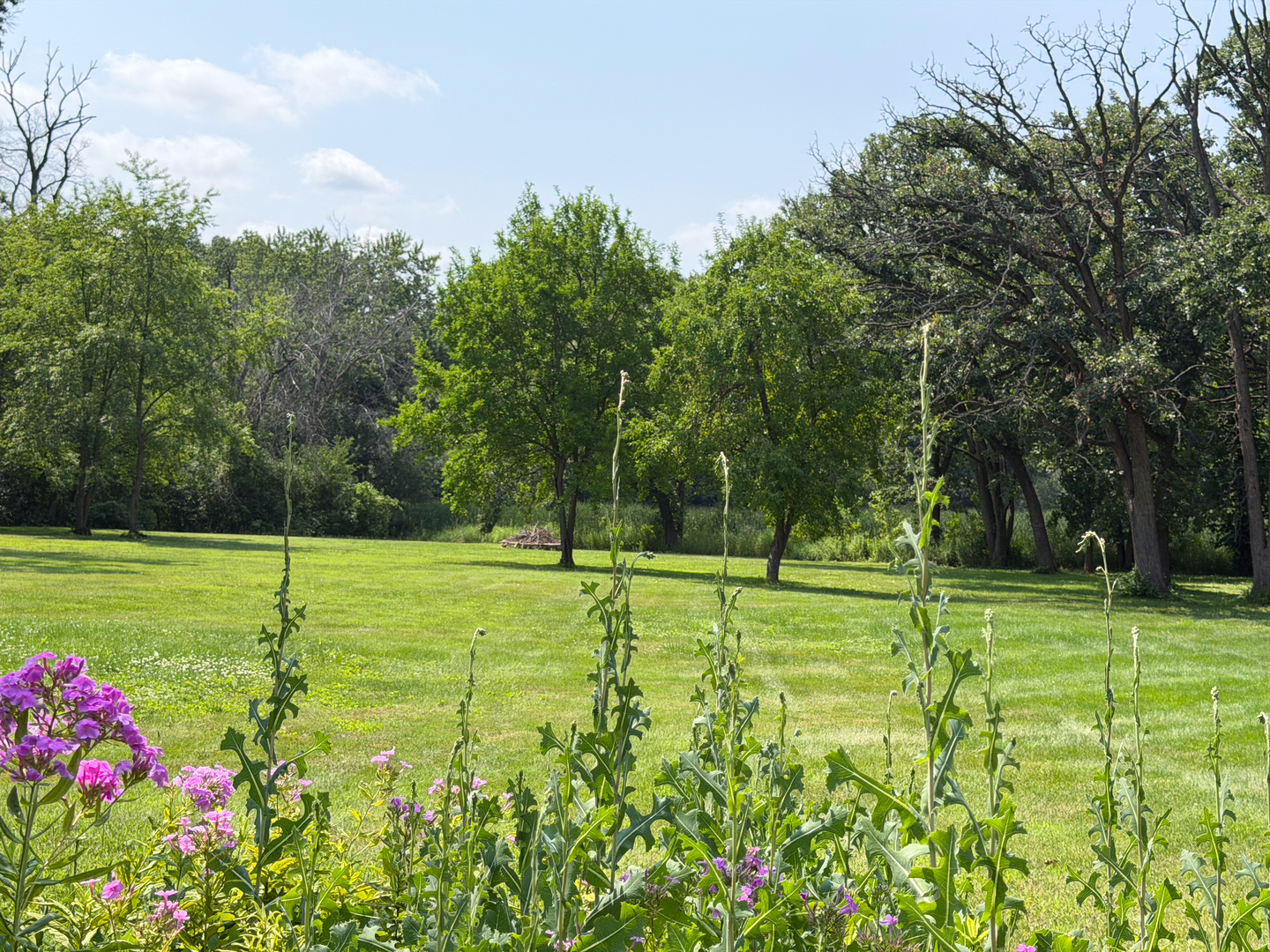 1n424 Indian Knoll Road Property Photo 30