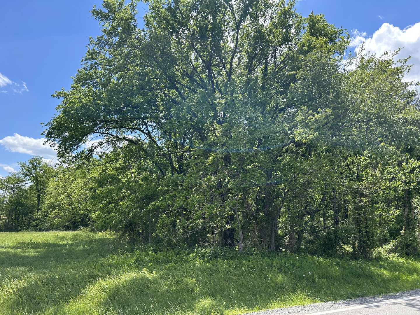 Tbd Akin Blacktop Property Photo 2