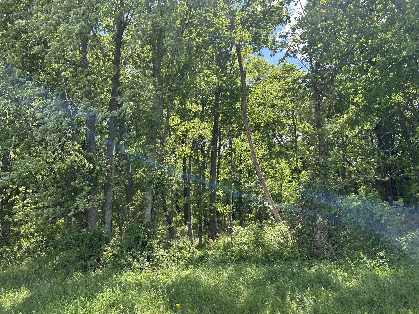 Tbd Akin Blacktop Property Photo 6