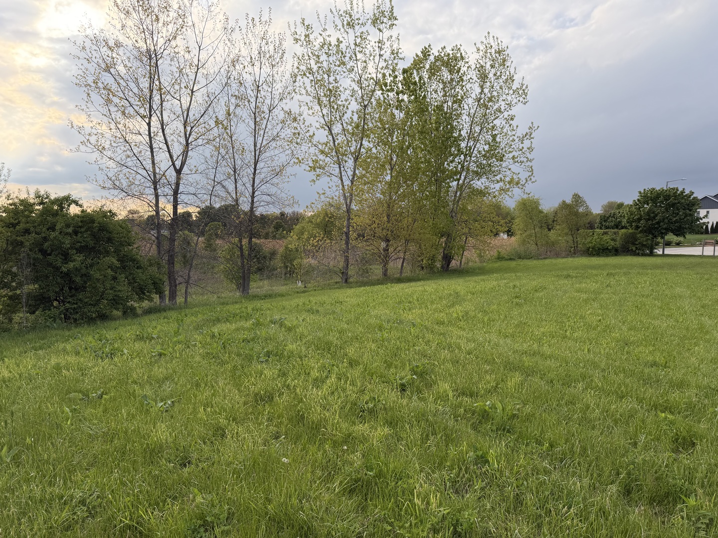 18555 S Marilynn Court Property Photo 2