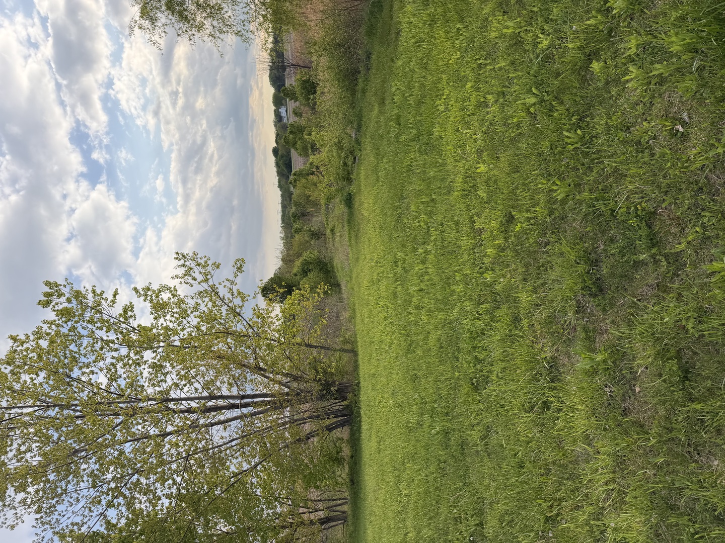 18555 S Marilynn Court Property Photo 3