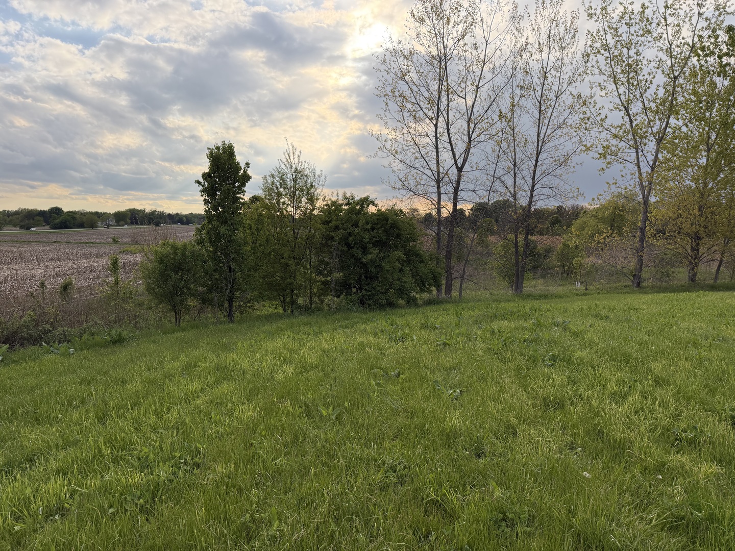 18555 S Marilynn Court Property Photo 4