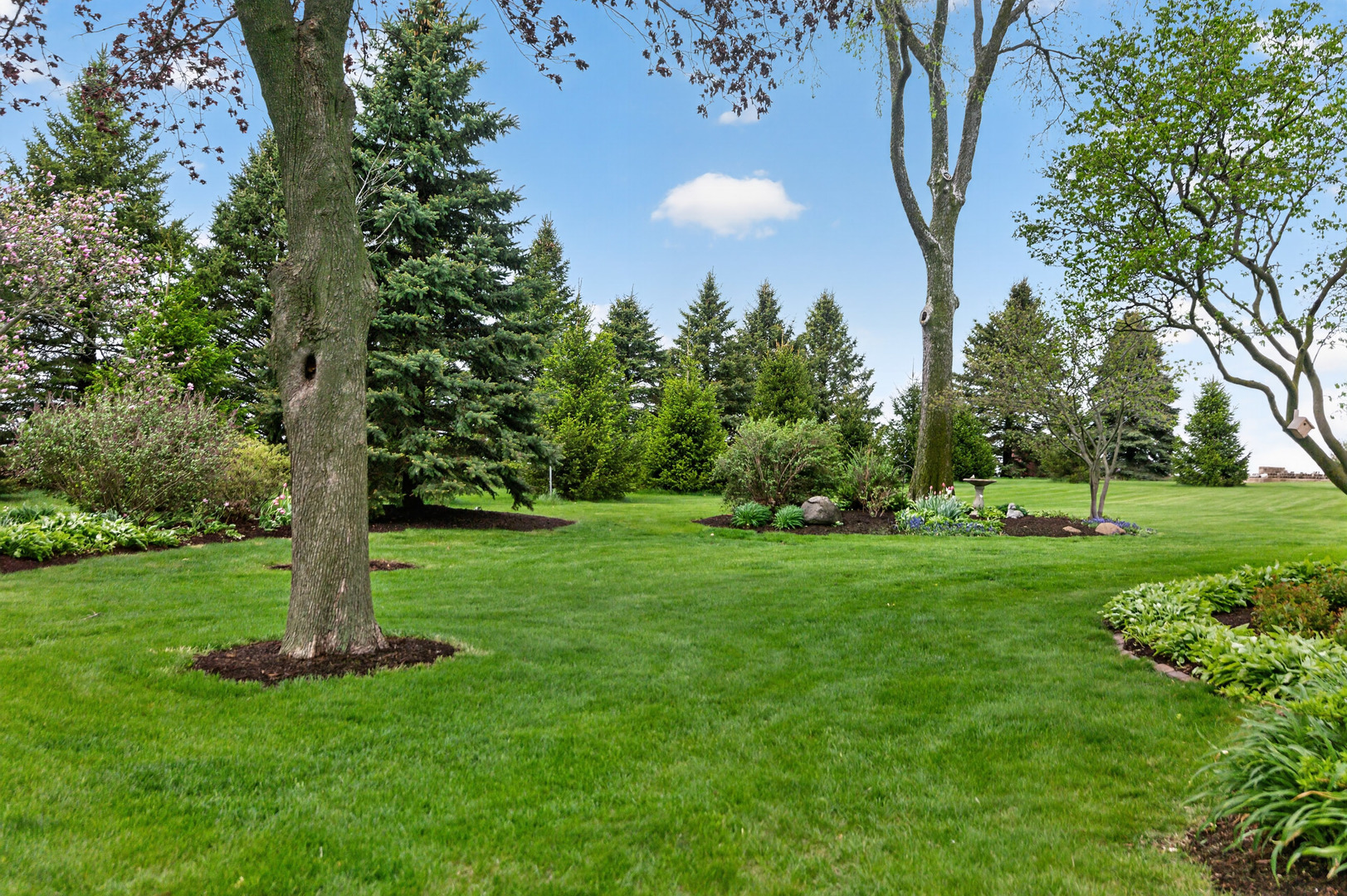 6615 Il Route 38 Property Photo 69