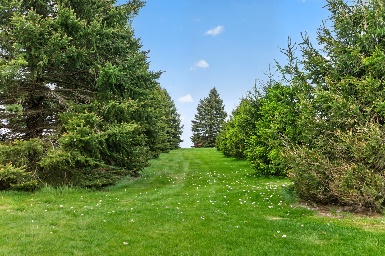 6615 Il Route 38 Property Photo 70