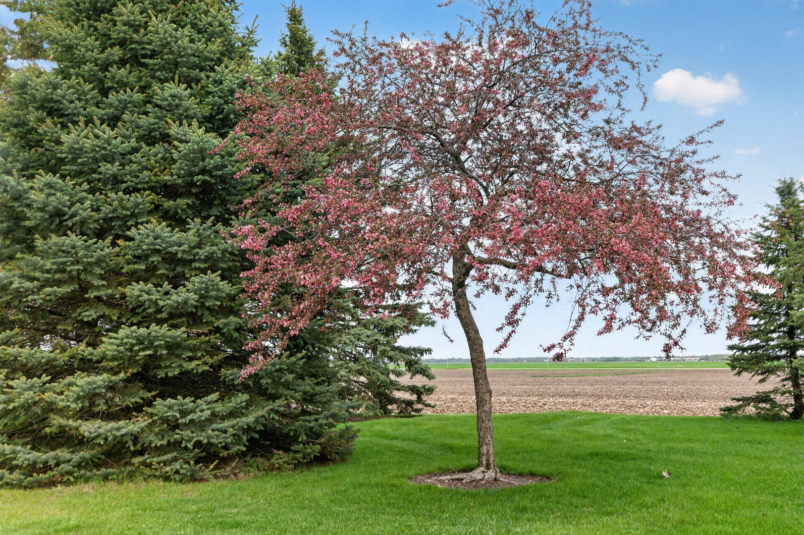 6615 Il Route 38 Property Photo 72