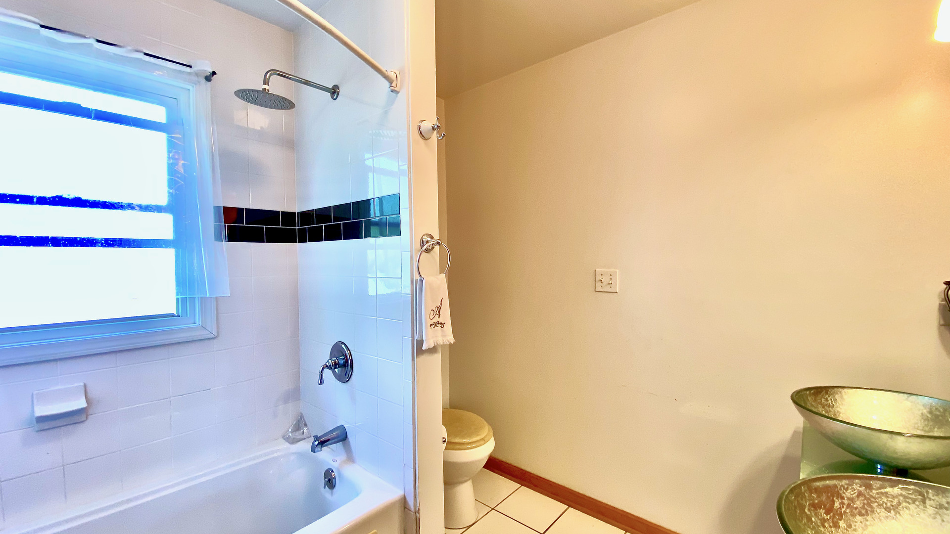1633 E 93rd Street Property Photo 16
